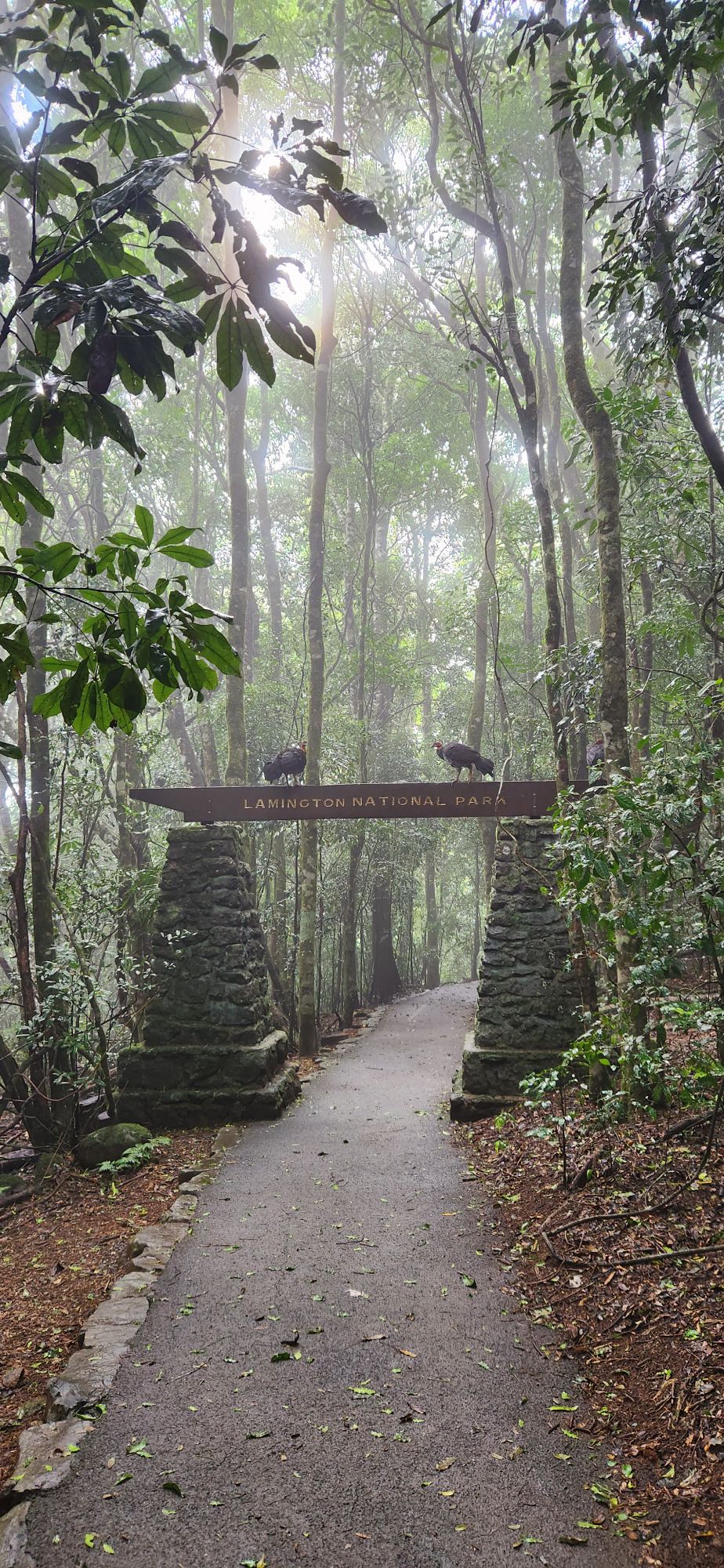 Beneficent Tornadoes