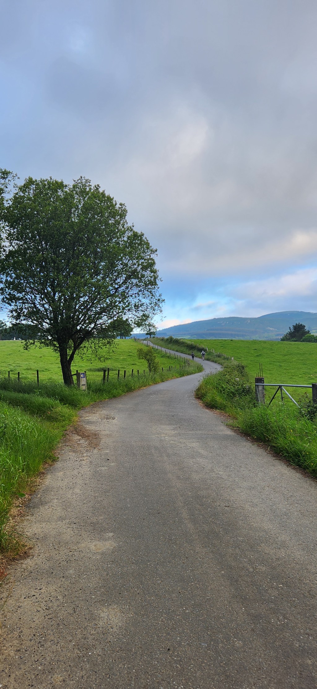 Why am I doing&nbsp;this?