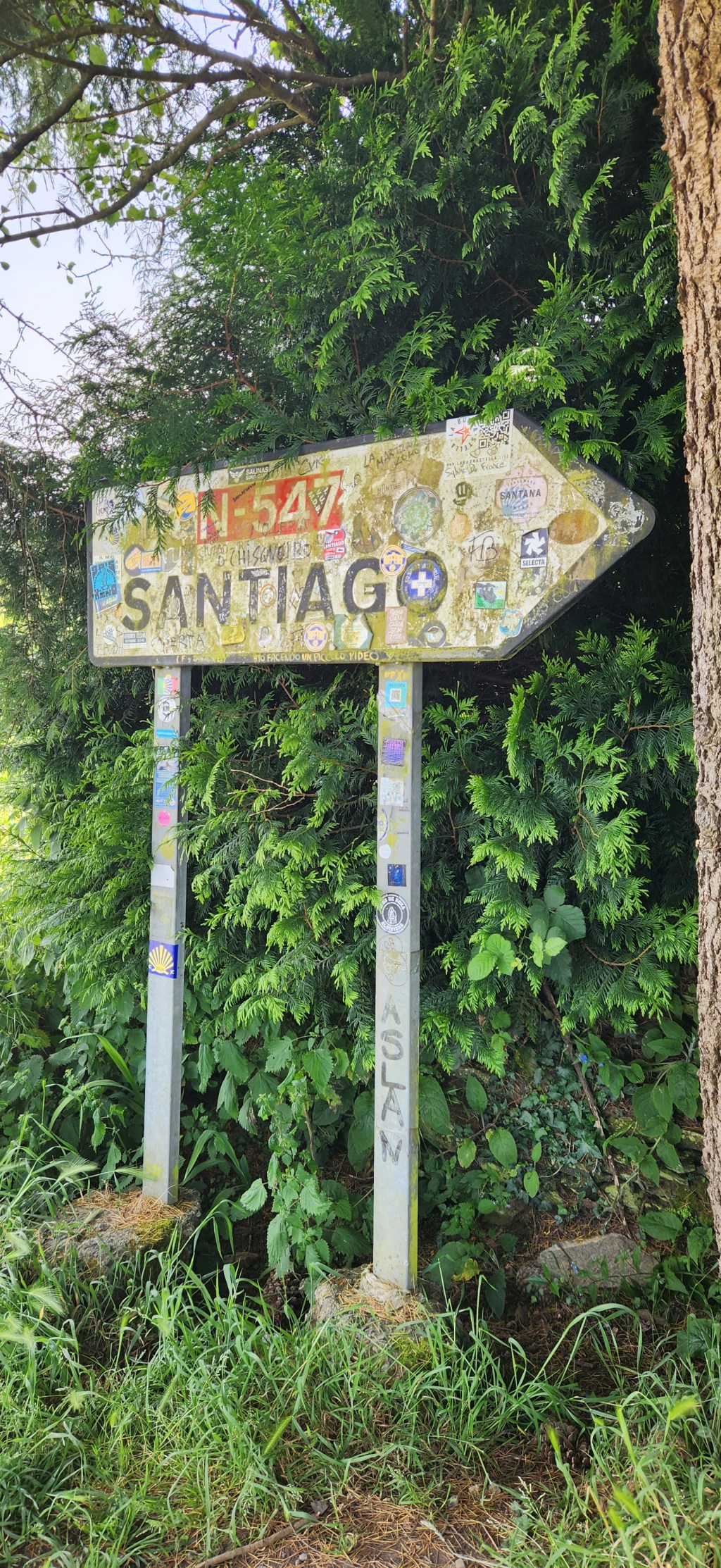 Penultimate O Pedrouzo